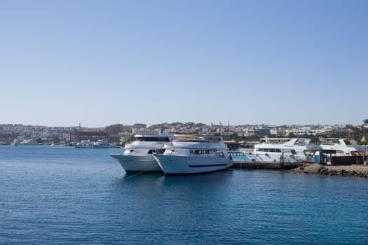 Beach Relaxation at the Red Sea. Fairy-tale Moments of a Sunny Day. The concept of tourism and sea travel.