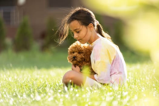 a little girl playing with her maltipoo dog a maltese-poodle breed.