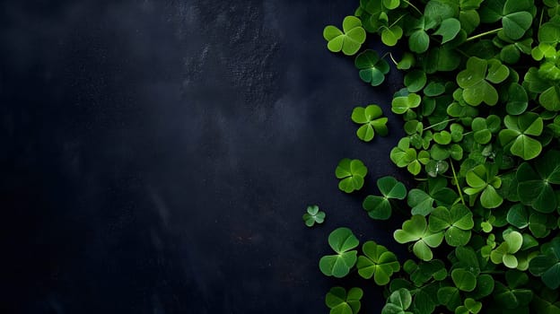 Clover with black background for St. Patricks day. Neural network generated image. Not based on any actual scene or pattern.