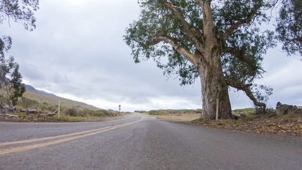 In this serene winter scene, a vehicle carefully makes its way along Los Osos Valley Road and Pecho Valley Road within Montana de Oro State Park.