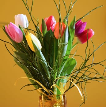 Spring background with flowers. Beautiful colorful tulip on a sunny day. Nature photography in spring time.