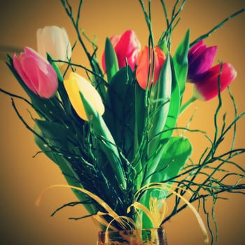 Spring background with flowers. Beautiful colorful tulip on a sunny day. Nature photography in spring time.