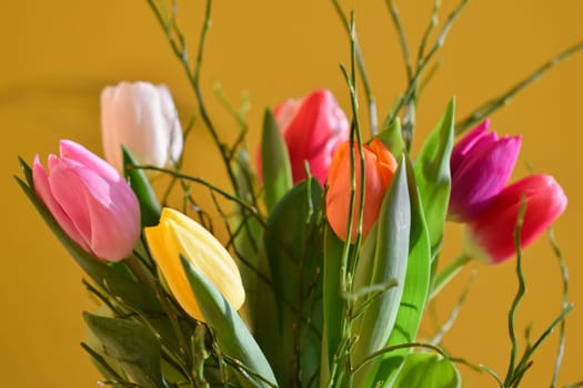 Spring background with flowers. Beautiful colorful tulip on a sunny day. Nature photography in spring time.