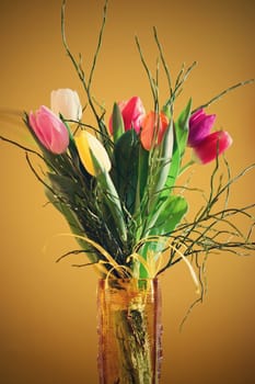 Spring background with flowers. Beautiful colorful tulip on a sunny day. Nature photography in spring time.