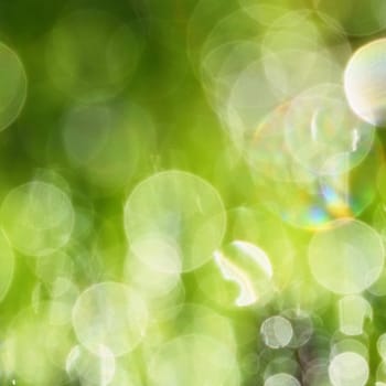 Spring. Beautiful natural background of green grass with dew and water drops. Seasonal concept - morning in nature.