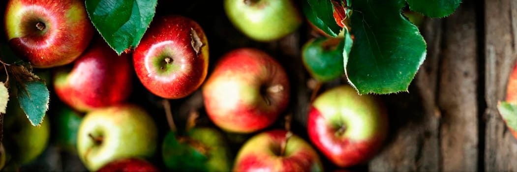 apple harvest in the garden. Selective focus. nature.