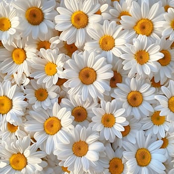 A Lot Of White Yellow Daisies or chamomile flowers - for full-frame background and seamless texture. Neural network generated image. Not based on any actual scene or pattern.