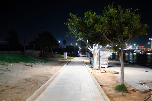 A park at night with a path and a tree