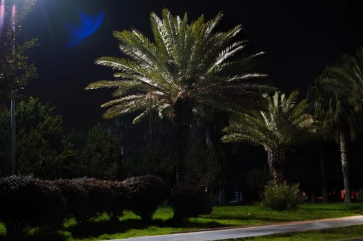 A tree with a blue moon in the background