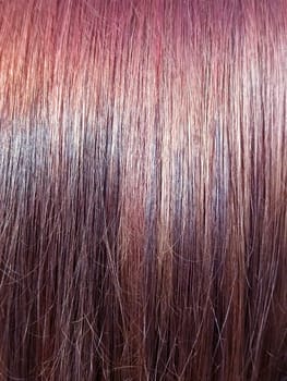 straight brown women's hair mahogany shade close up