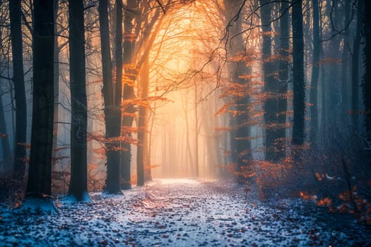 A wintery landscape with a forest path, snow-covered trees and a serene atmosphere. AI generated.