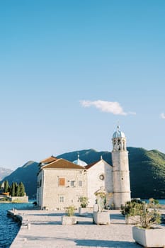 Green bushes grow in flower pots near the Church of Our Lady of the Rocks. Montenegro. High quality photo