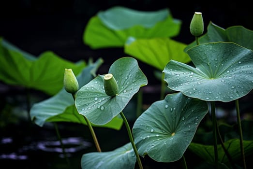 Lush Lotus leaves buds. Garden green. Generate Ai