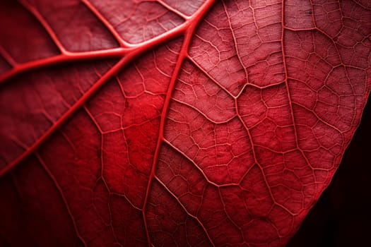 Textured Macro leaf red. Plant tree nature. Generate Ai