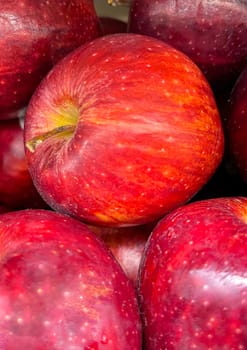 Fresh red apples good for multimedia background group of red ripe apples