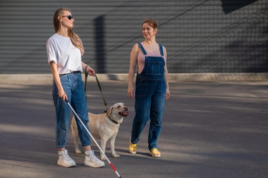 Blind caucasian woman walking with guide dog and pregnant girlfriend