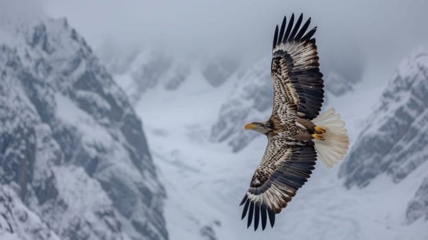 A large bird of prey flying over snowy mountains in the distance