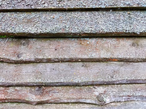 Abstract background with old wooden boards with texture and knots. Pattern, place for text, copy space