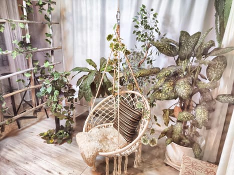 Modern cozy beautiful room with a braided rope macrame chair, green plants and a window with curtains. Interior and background. Location for photo shooting