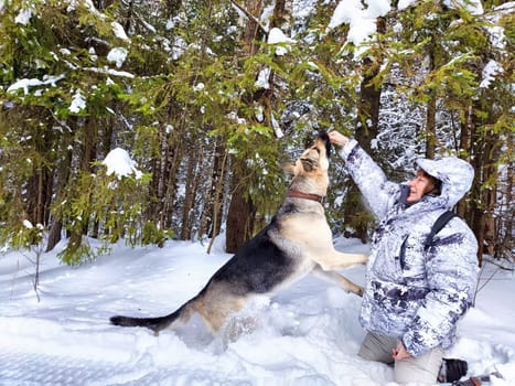 Adult girl or mature lady with shepherd dog in winter nature landscape in forest. Middle aged woman training big shepherd dog in cold day. Friendship, love, communication, fun, hugs