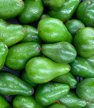 fresh produce of green avocados at the local market, healthy fresh fruit for salad or juice or guacamole