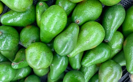 fresh produce of green avocados at the local market, healthy fresh fruit for salad or juice or guacamole