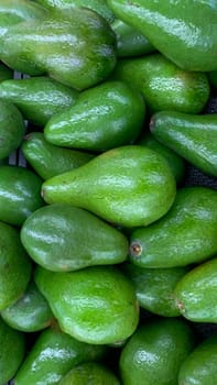 fresh produce of green avocados at the local market, healthy fresh fruit for salad or juice or guacamole