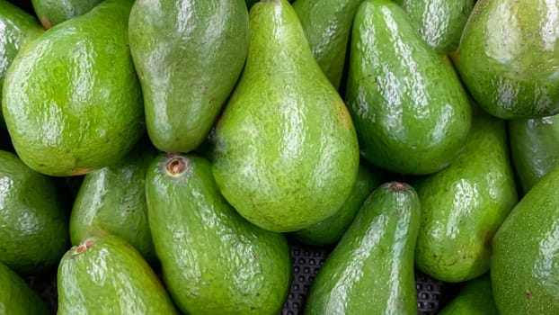 fresh produce of green avocados at the local market, healthy fresh fruit for salad or juice or guacamole