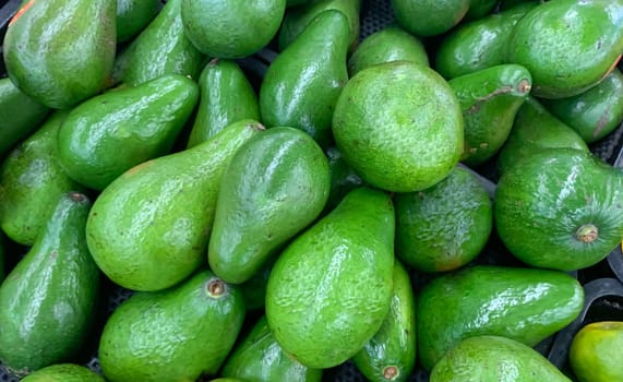 fresh produce of green avocados at the local market, healthy fresh fruit for salad or juice or guacamole