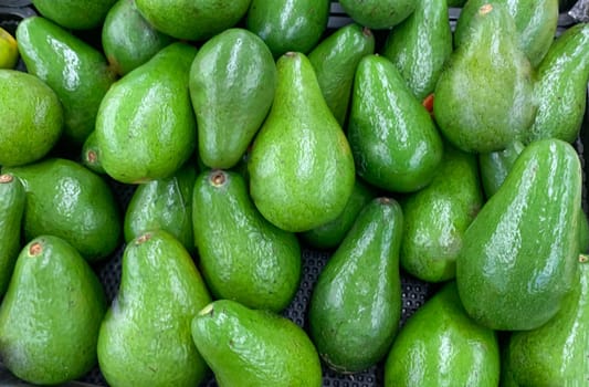 fresh produce of green avocados at the local market, healthy fresh fruit for salad or juice or guacamole