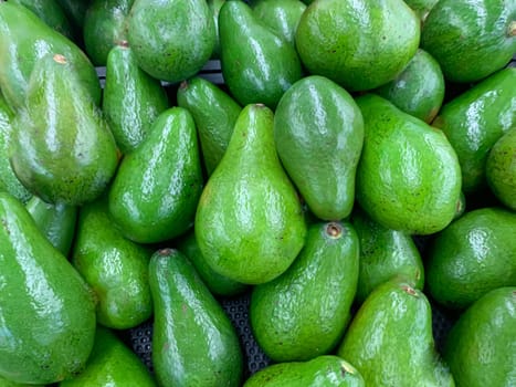 fresh produce of green avocados at the local market, healthy fresh fruit for salad or juice or guacamole