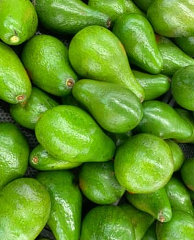 fresh produce of green avocados at the local market, healthy fresh fruit for salad or juice or guacamole