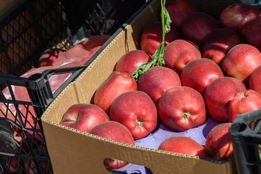 red apples in a box near a store in Cyprus