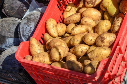 potatoes in a box near a store in Cyprus