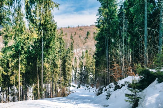 Winter mountain landscape with cross country skiing way.