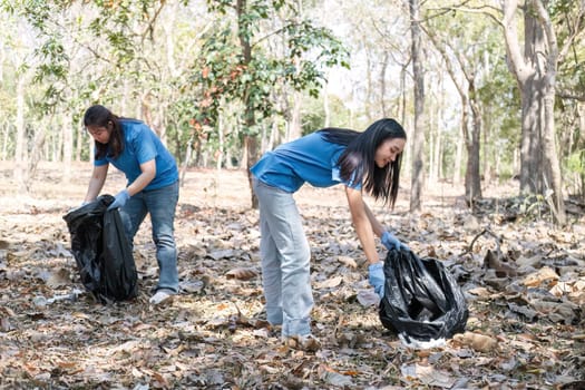 A group of Asian volunteers collects trash in plastic bags and cleaning areas in the forest to preserve the natural ecosystem..