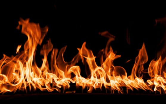 firestorm. Fire burning. Bright burning flames on a black background. Wall of Real fire, abstract background. Fire flames, isolated on dark background.
