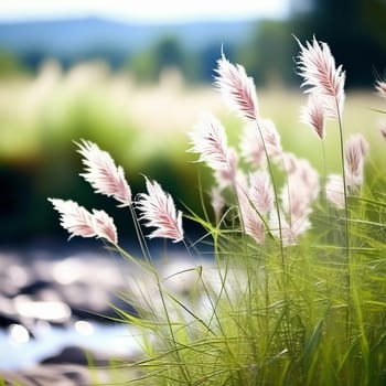 the Beauty of Wild Grass in a Serene Background