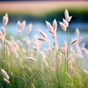 Wild Grass Swaying in a Beautiful Natural Setting