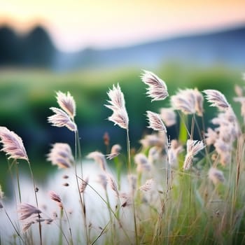 A Stunning Nature Background with Wild Grass