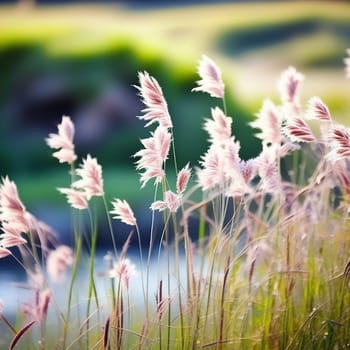 Wild Grass Painting a Beautiful Background