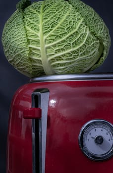 A lonely fresh savoy cabbage put on a red retro styled toaster on dark background. Whole head of organic savoy cabbage, Copy space, Selective focus.