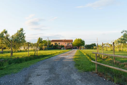 A dirt road cutting through a vast green field under a bright blue sky.