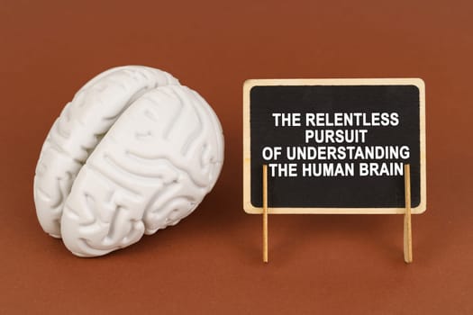On a brown background, a model of the brain and a sign with the inscription - The relentless pursuit of understanding the human brain. Science and education concept.