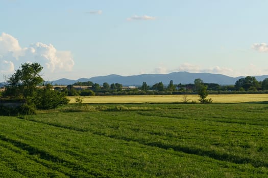 A vast green field with several houses visible far in the distance under a clear sky.