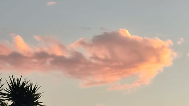 Sunset evening sky. High quality photo