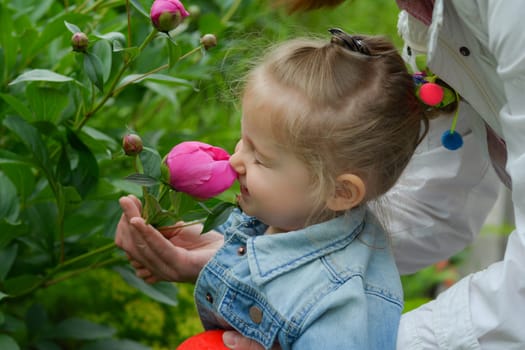 Little girl sniffs pink peonies in the garden