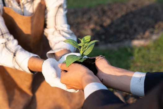 Eco-business company empower farmer with eco-friendly farming practice and clean agricultural technology. Cultivate sustainable future nurturing plants to grow and thrive. Gyre