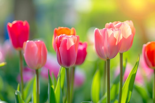 Beautiful Spring Nature background with tulip Flowers, selective focus. Vivid colors. Neural network generated in January 2024. Not based on any actual scene or pattern.