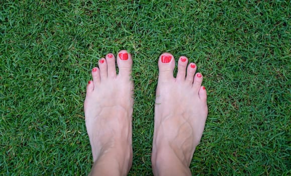 Barefoot female feet with red nails stand on green grass. Barefoot on fresh grass concept